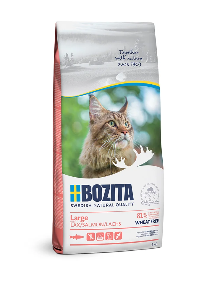 BOZITA CAT TF Large Lachs 2 kg