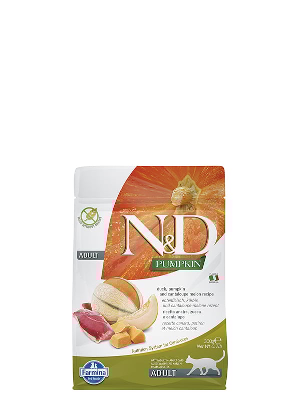 N&D CAT TF PUMPKIN Ente Kürbis Melone 300 g