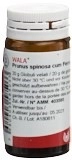 WALA Prunus spinosa ferm c Ferro Glob D 3 Fl 20 g