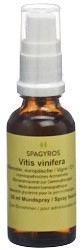 SPAGYROS GEMMO Vitis vinifera Glyc Maz D 1 30 ml