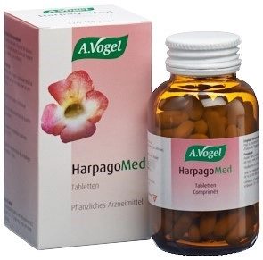 HARPAGOMED Tabl Glas 120 Stk