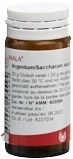 WALA Argentum/Saccharum Glob Fl 20 g
