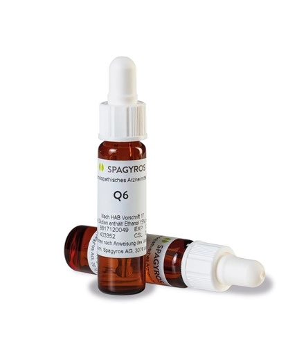 SPAGYROS Arsenicum alb Tropfen 6 Q 8 ml