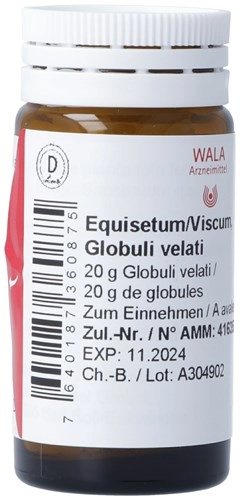 WALA Equisetum/Viscum Glob Fl 20 g