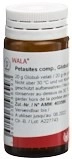 WALA Petasites comp Glob Fl 20 g
