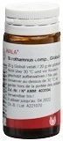 WALA Sarothamnus comp Glob Fl 20 g
