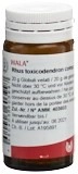 WALA Rhus toxicodendron comp Glob Fl 20 g