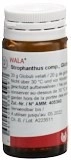 WALA Strophanthus comp Glob Fl 20 g