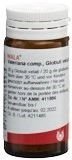 WALA Valeriana comp Glob Fl 20 g