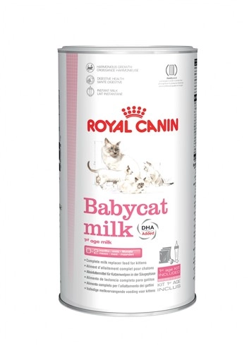 ROYAL CANIN FHN Babycat Milk 300 g