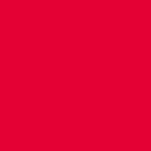 ELSA Kissenbezug 50x7cm Velours rot