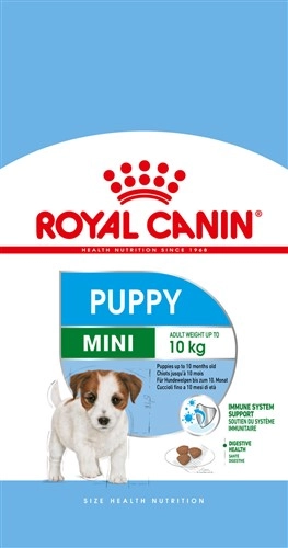 ROYAL CANIN SHN Mini Junior 4 kg ROYAL CANIN SHN Mini Junior 4 kg