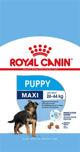 ROYAL CANIN SHN Maxi Junior 4 kg