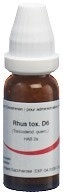 OMIDA Rhus toxicodendron Glob D 6 14 g