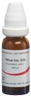 OMIDA Rhus toxicodendron Glob D 30 14 g