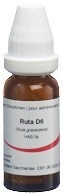 OMIDA Ruta Glob D 6 14 g