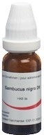 OMIDA Sambucus nigra Glob D 6 14 g