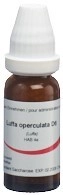 OMIDA Luffa operculata Glob D 6 14 g